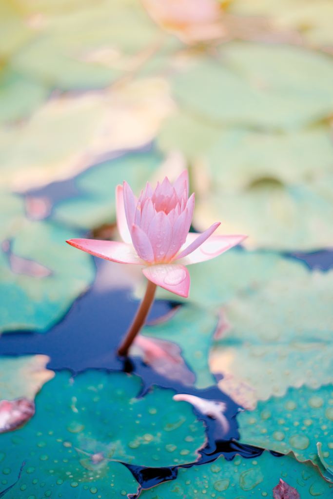 15 Verses to Stop Faking It and Find REAL PEACE