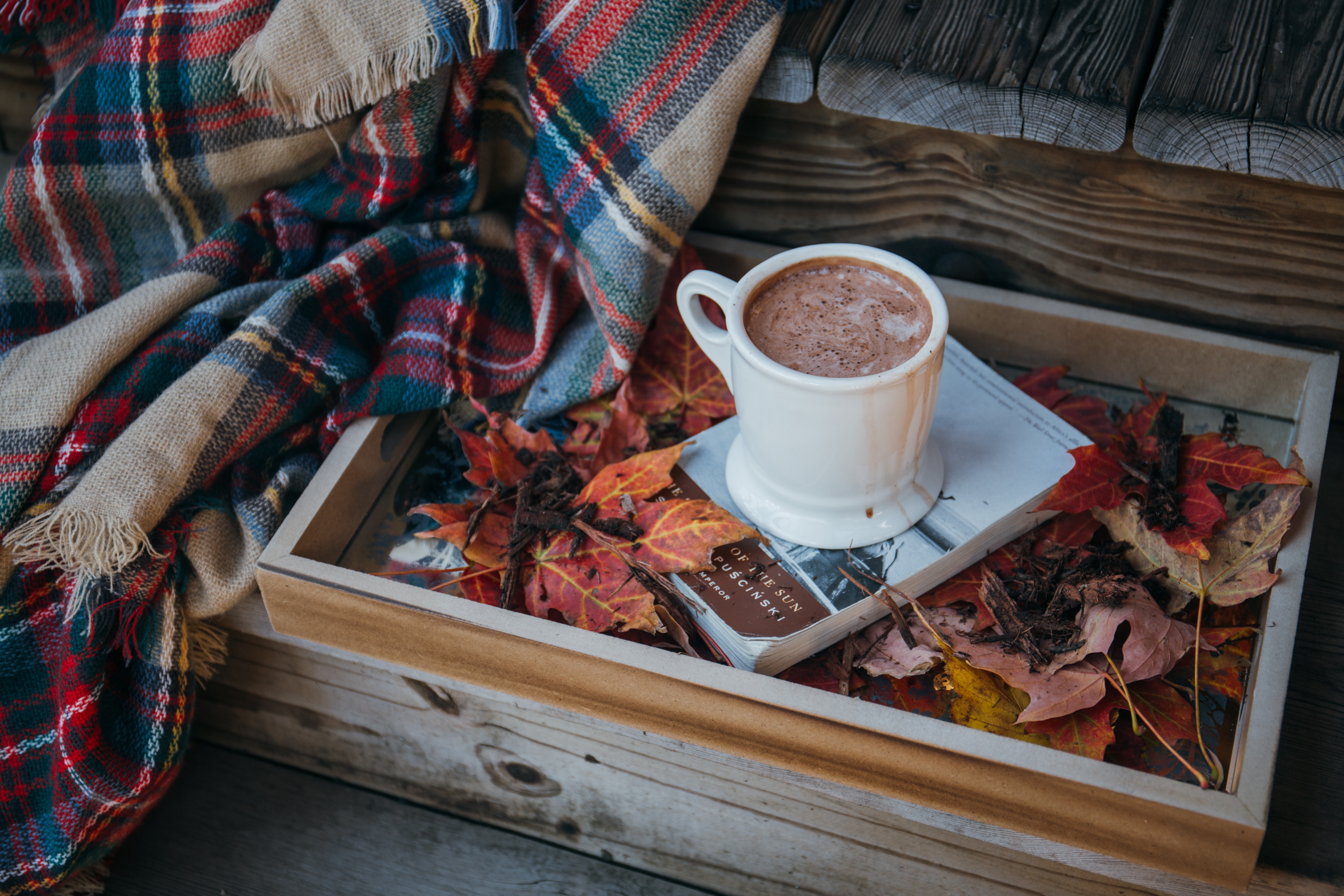 autumn meditation