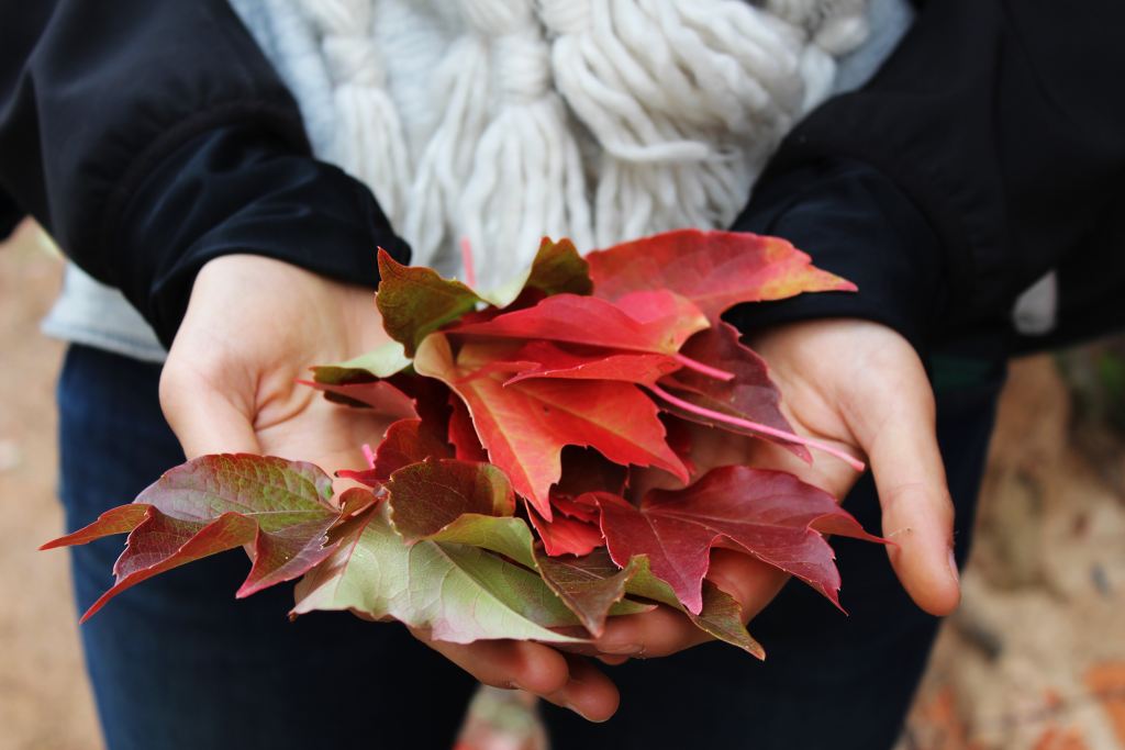 Seeing God in the Colors of Autumn
