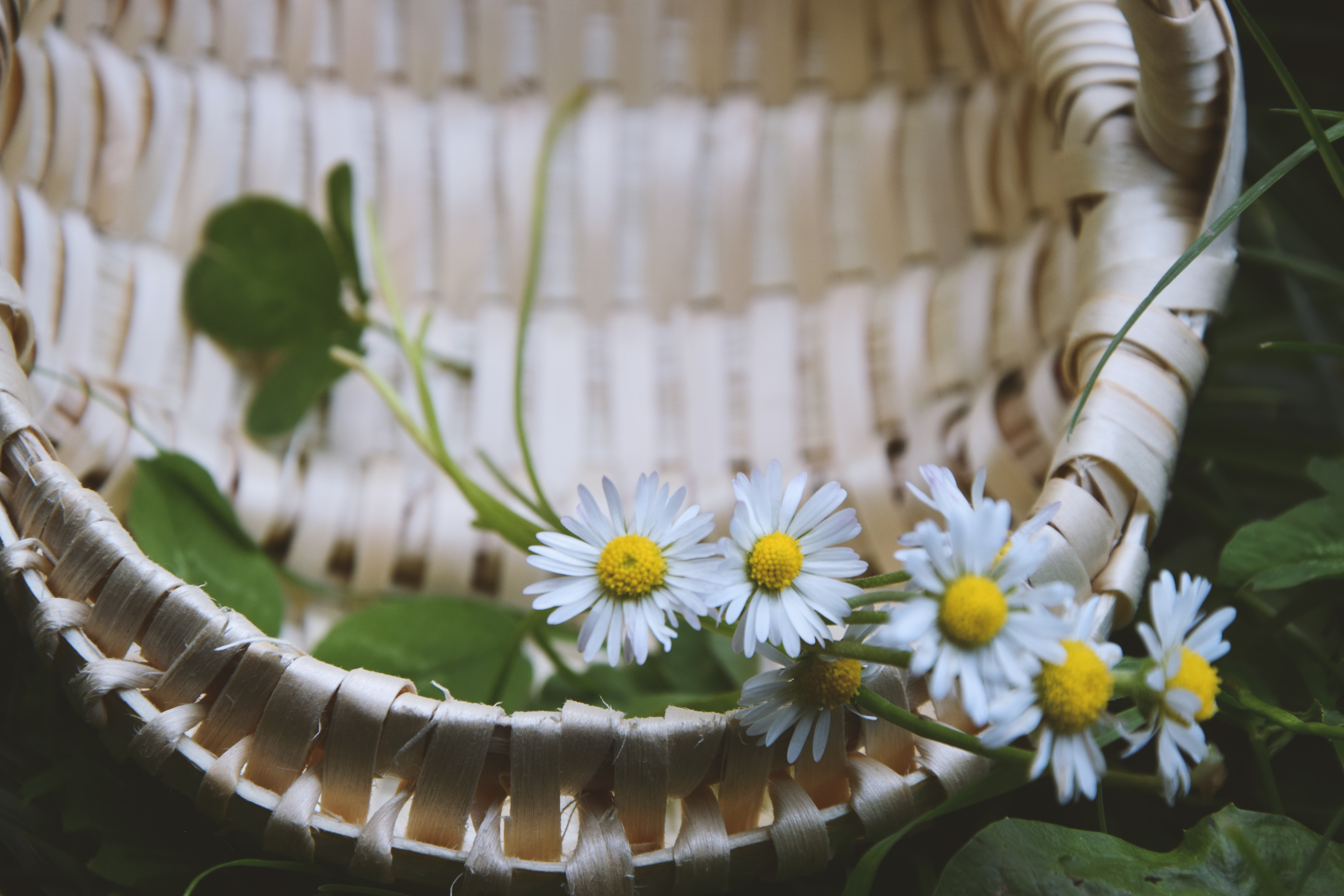 gratitude affirmations