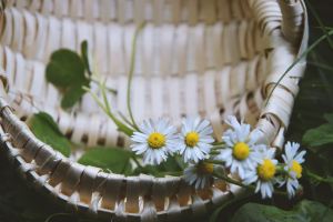 Giving Thanks in All Circumstances