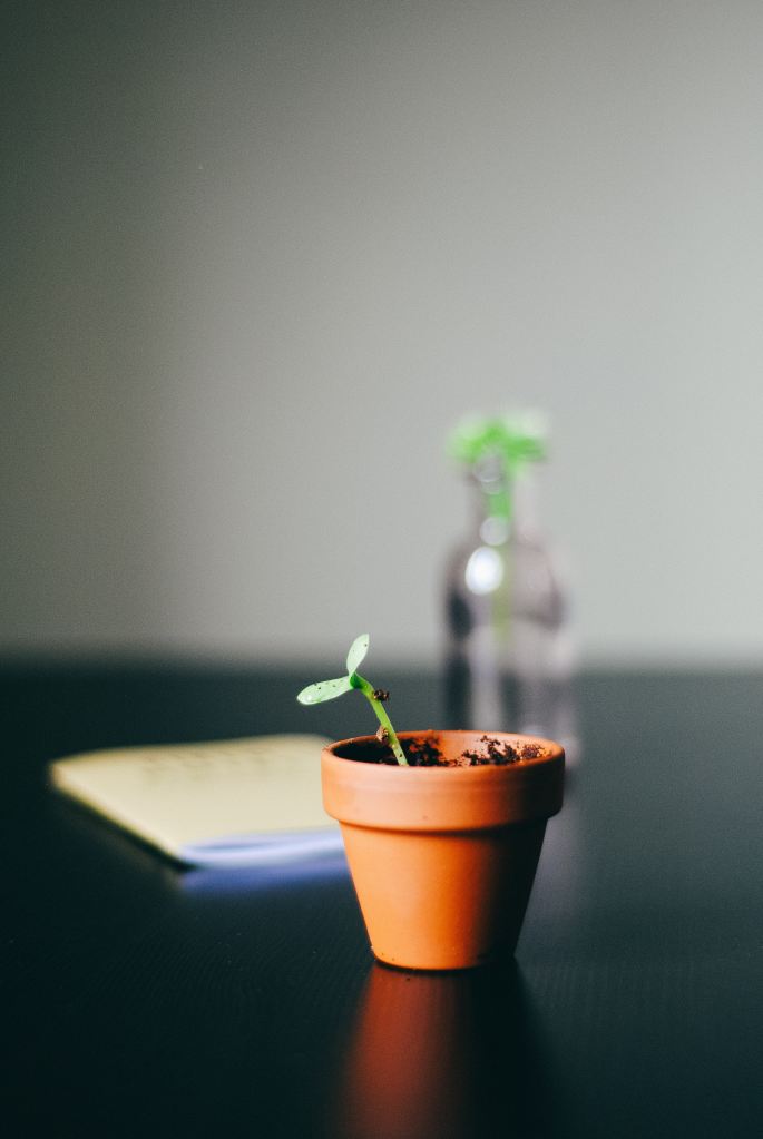 5 Books That Spark Spiritual Growth for the Holistic Christian