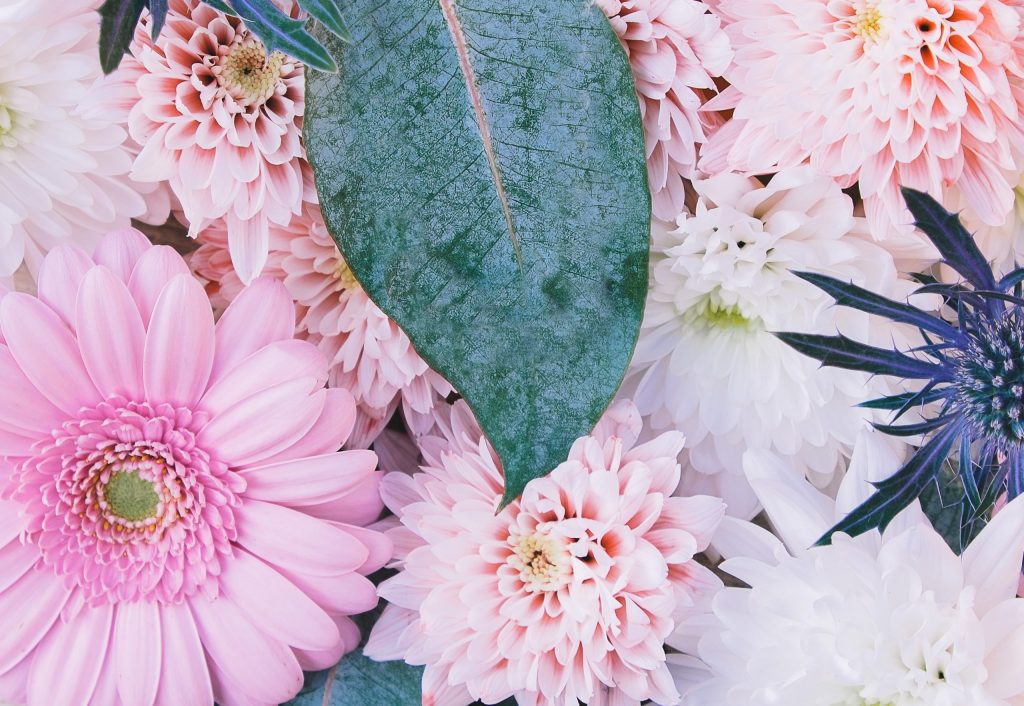 I SPEAK TRUTH: 7 Affirmations for Faith and Trust