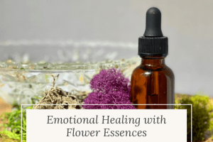 healing with flower essences